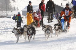 Lenk 2012 SM